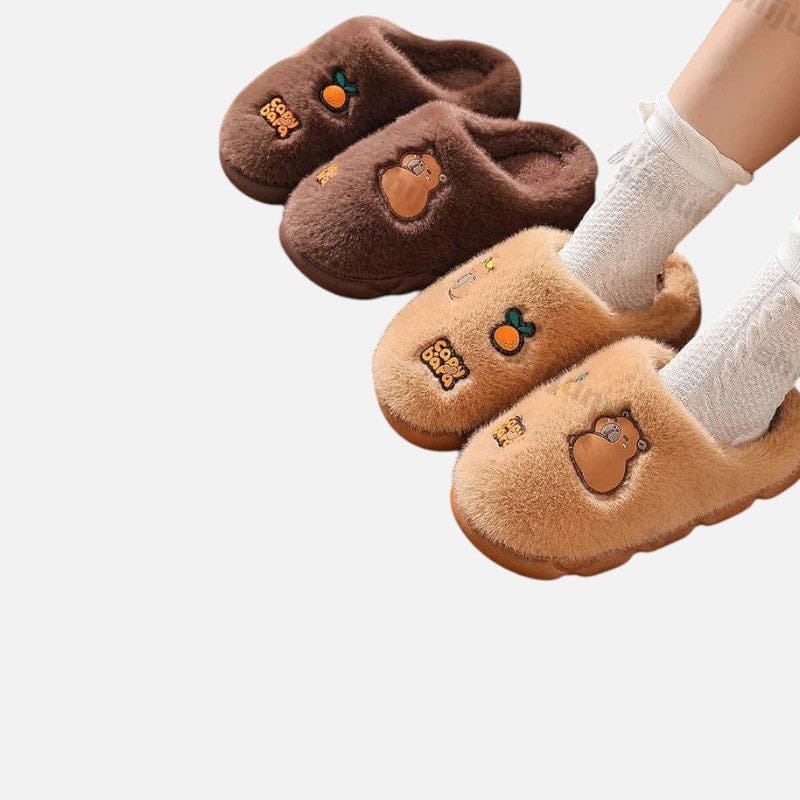 Chaussons CapyDream